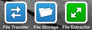 Delite Studio File Transfer